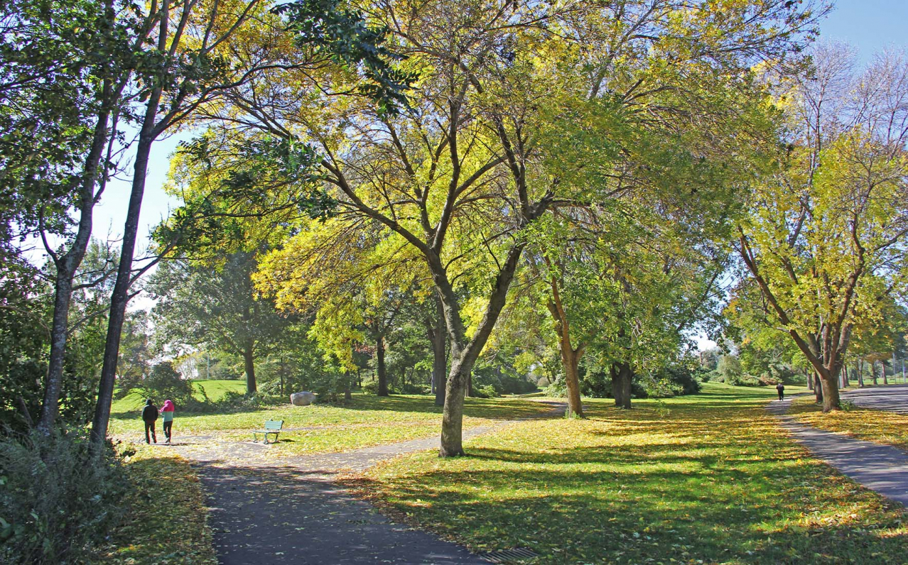 Shadley Associates Landscape Architecture: Macdonald Park