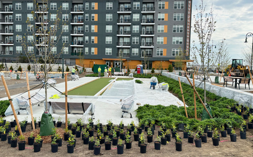 Shadley Associates Landscape Architecture: Sullivan Park planting around bocce court