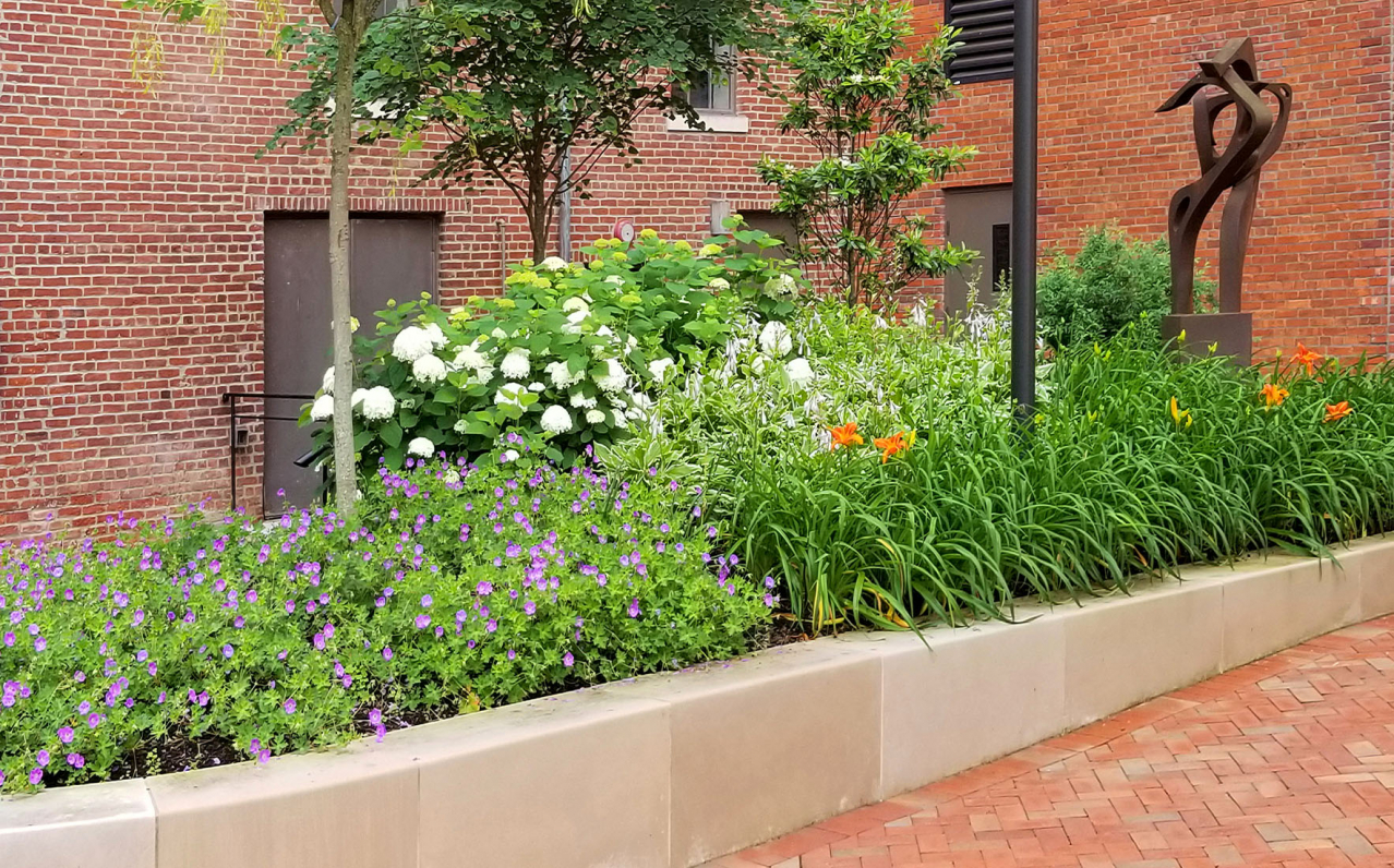 Shadley Associates Landscape Architecture: Forester Garden