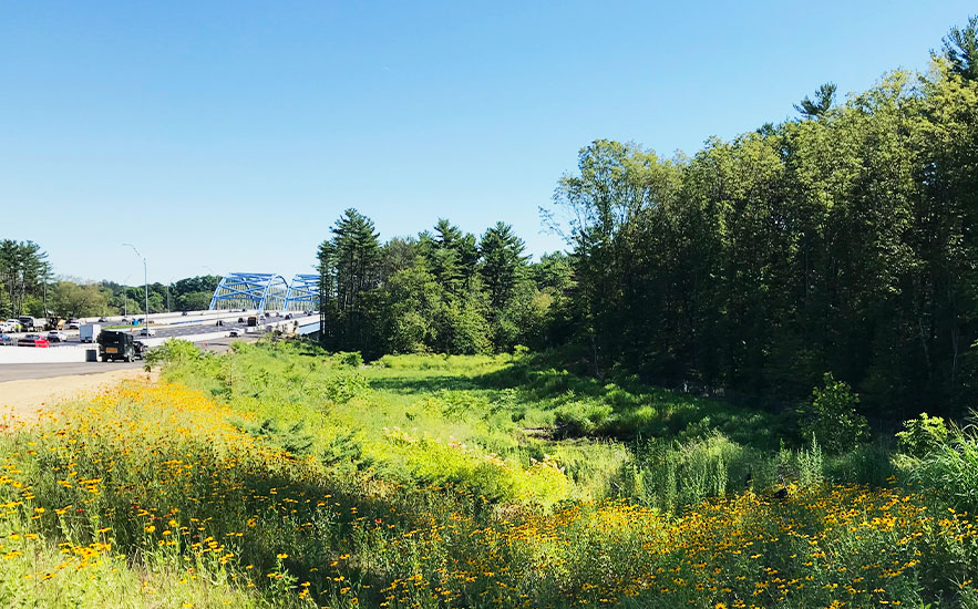 Shadley Associates Landscape Architecture: Whittier Bridge Highway Planting